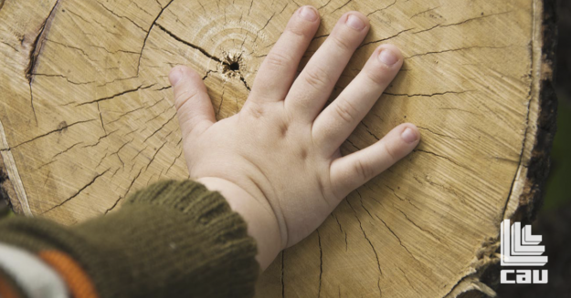 Mano bambino su tronco di albero Mano bambino su tronco di albero
