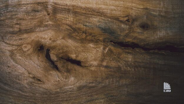 Qual è il miglior legno per finestre? Breve guida di Falegnameria Cau!