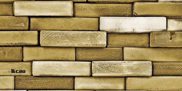Che cosa è Accoya e quali sono le sue caratteristiche? Che cosa è Accoya e quali sono le sue caratteristiche?