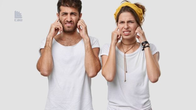 Finestre Antirumore: cosa sono a cosa servono, dove acquistarle? Finestre Antirumore: cosa sono a cosa servono, dove acquistarle?