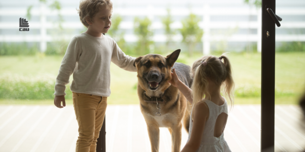 Finestre Blindate: come mettere al sicuro la tua famiglia